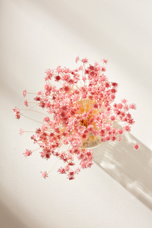 Star Flower Blossom- Bridal Pink